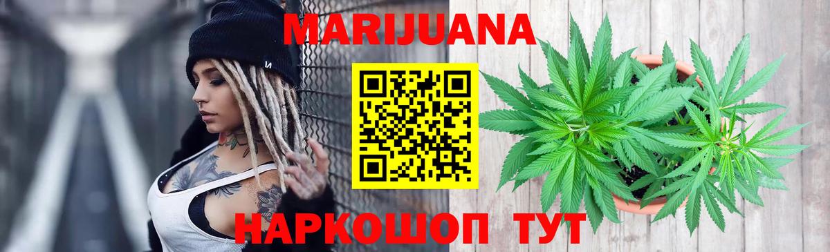 Конопля White Widow  Шишки марихуана план  Бошки Шишки White Widow  Узловая  Вход с VPN 